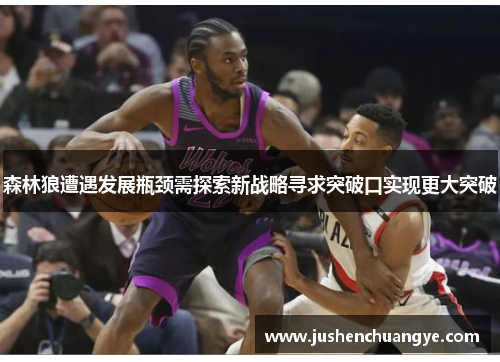 森林狼遭遇发展瓶颈需探索新战略寻求突破口实现更大突破